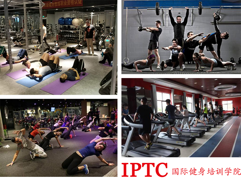 IPTC课堂健身训练